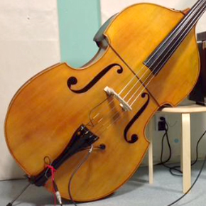 contrabass with acoustic pickup MSP