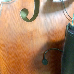 contrabass with acoustic pickup MSP